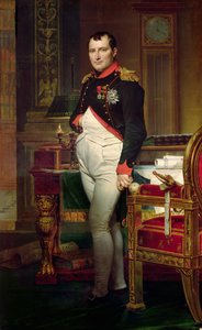 Napoleon Bonaparte tutkimuksessaan Tuileries
